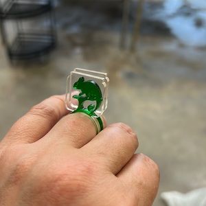 Laser cut acrylic gecko in a terrarium jar ring set